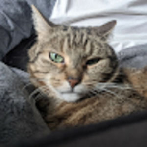 Meet your Posher, Maxime